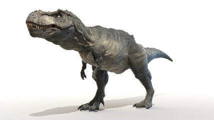 3d rendered illustration of a Tyrannosaurus Rex