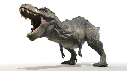 3d rendered illustration of a Tyrannosaurus Rex