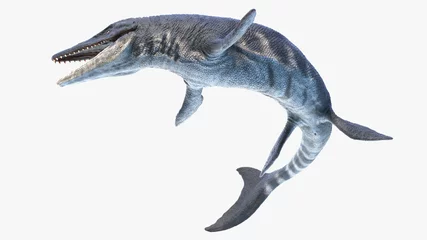 Fotobehang Dinosaurussen 3d rendered illustration of Tylosaurus  © Sebastian Kaulitzki