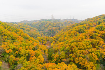 autumn in the mountains