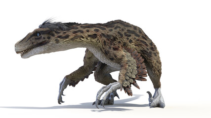 3d rendered illustration of an Utahraptor