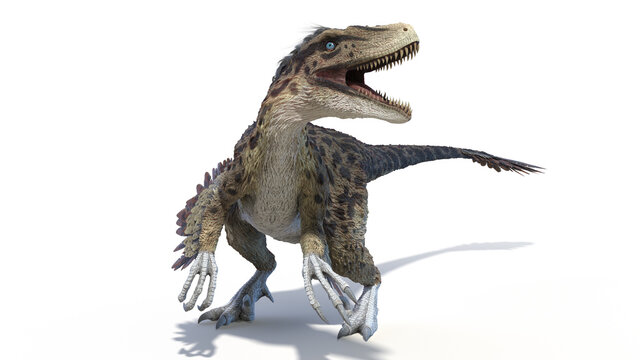 3d rendered illustration of an Utahraptor