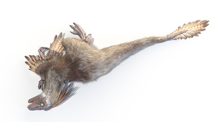 3d rendered illustration of a Velociraptor