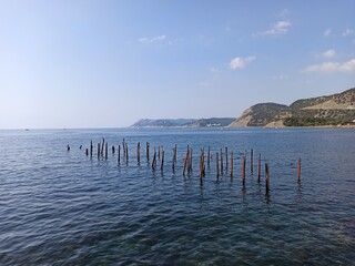 Wooden poles sticking out of the water near the shore. Berth for boats.