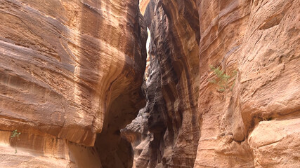 Tourist route through the gorge to Petra - Nabataean rock temple. Jordan