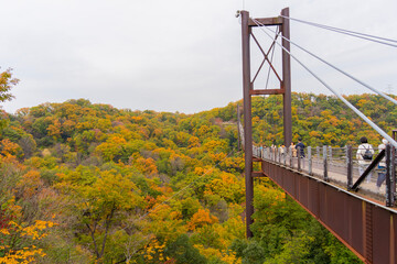 bridge over the river