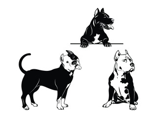 Set of American pitbull. Collection of purebred dogs. Peeking dog. Vector illustration of a domestic dog on a white background. Tattoo.