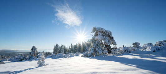 Stunning panorama of snowy landscape in winter in Black Forest - Snow view winter wonderland...