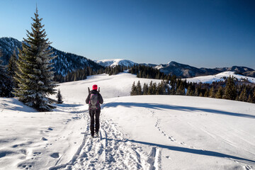 Fototapeta na wymiar Hiker walking on snowy landscape in forest