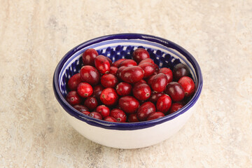 Ripe sweet tasty cranberry in the bowl