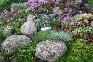 Hill in a decorative garden with stones of different size and different colors. Between stones many...