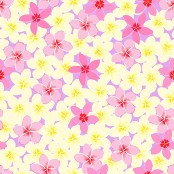 plumeria floral pattern. frangipani flower pattern. tropical pattern. exotic pattern. good for wallpaper, background, fabric, fashion, etc.