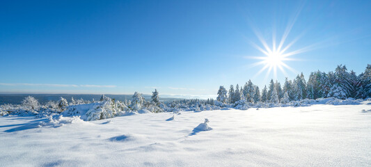 Stunning panorama of snowy landscape in winter in Black Forest - Snow view winter wonderland snowscape background banner with blue sky and sunshine