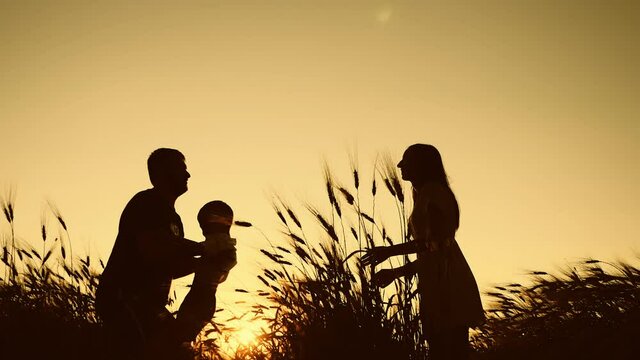 Silhouette happy family walking outdoors. Father having fun tossing up son. People playing enjoying sunset in wheat field on summer day. Beautiful sunset on a wheat field.