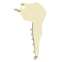 Animal bones and skulls in boho ethnic style