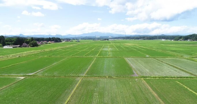 《宮城県・栗原市》春の田園と栗駒山