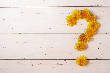 Question mark made from dandelion flowers on rustic white wooden background. Springtime, summertime...