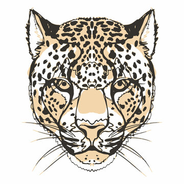 Print with the image of a leopard's muzzle in the form of a hand drawing.