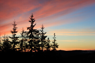 Beautiful colorful vanilla sky sunset over the pine trees
