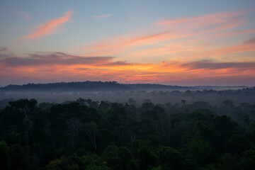 Sunrise in the Amazon Rainforest, Brazil