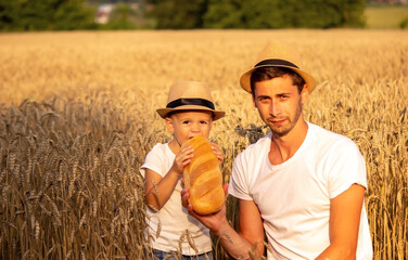 Naklejka na ściany i meble a child in a wheat field eats bread. selective focus