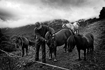 The old man and his ponys