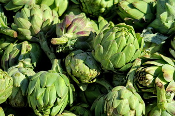 Obraz premium Etalage d'artichauts au marché.