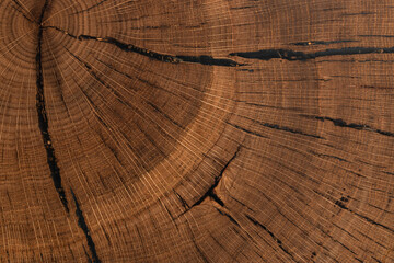 handmade table made of natural elm wood, isolated on a white background