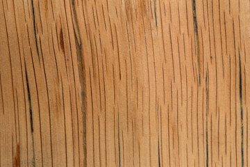 handmade table made of natural elm wood, isolated on a white background