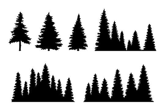Vintage trees, forest silhouettes set. outline of a coniferous forest. Isolated. Vector illustration