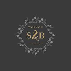 Initial letter SB beauty handwriting logo vector