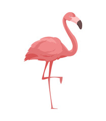 Flat Flamingo Illustration