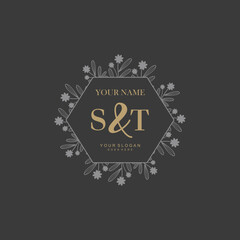 Initial letter ST beauty handwriting logo vector