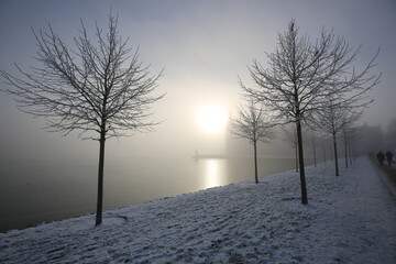 Winter sun between castle and trees under the fog in the lake