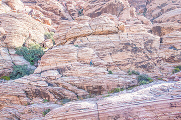 Man Hiking on Red Rocks Just Outside of Las Vegas Nevada in the Dessert