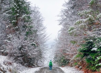 tourist backpacker traveler with a green backpack goes alone on a trekking route road in the winter in the forest in frosty weather