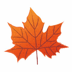 red maple leaf