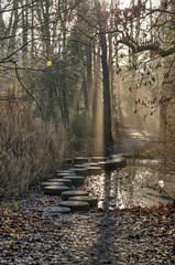 Leiden, The Netherlands, December 16, 2021: rays of sunlight illumniate a path with concrete stepping stones in the forest-like environment of Merenwijk park