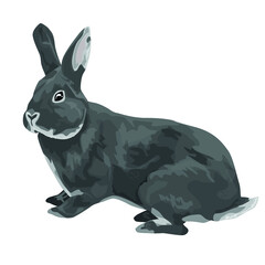 realistic cute black bunny vector illustration hare easter bunny print design. symbol of the year
