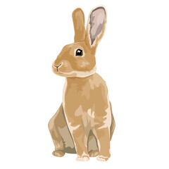 realistic cute bunny vector illustration beautiful hare easter bunny print design. symbol of the year