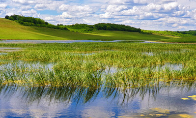 Naklejka na ściany i meble Lake with vegetation and green fields landscape