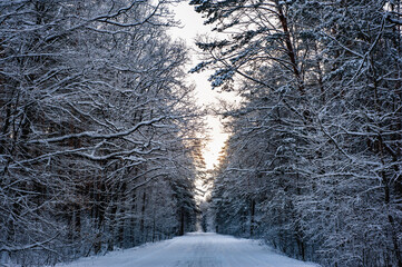 Snowy landscape, rural road in a forest. Snow all over. Winter snow cover the landscape.