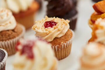 Many different cupcakes with toppings and decorations