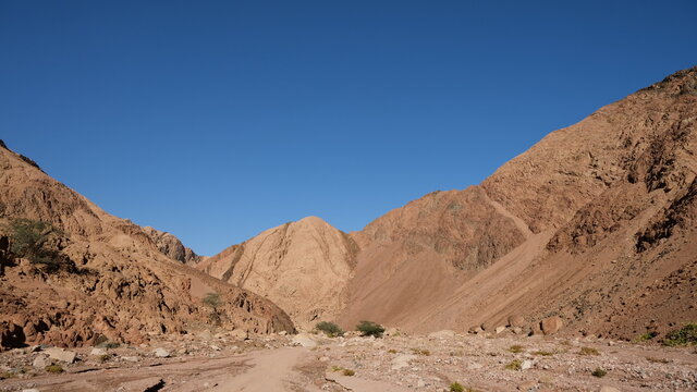 Sinai Mountains And Oaisis