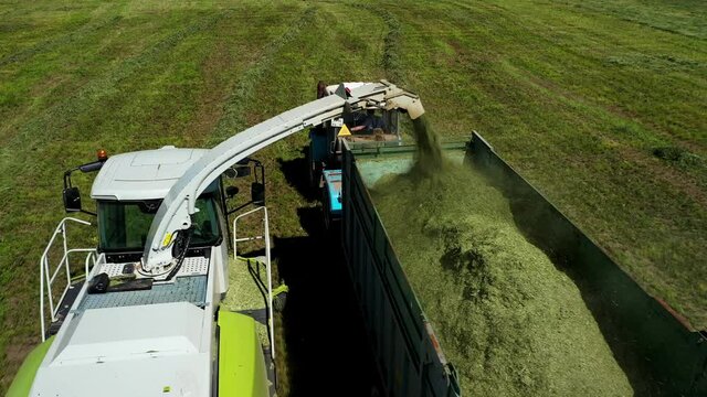Aerial shot of harvester loading off mown plants on trailers. Modern harvester loading off mown plants on tractor trailers. Agricultural machines working in farmland during harvesting