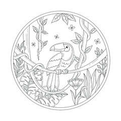 toucan bird in the jungle doodle or line drawing illustration © Desain anak palu