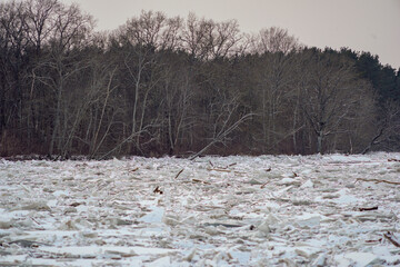 Ice covered river in the winter