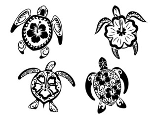 Set of sea turtles with flowers. Collection of floral tropical underwater inhabitants with armor. Hawaii plants. Undersea world. Vector illustration for children. Tattoo.