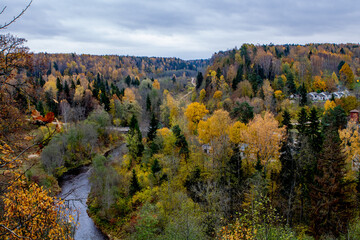 autumn panorama  in the forest  with river and nice sky