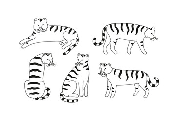 Vector illustration of tiger characters in various poses. Hand-drawn cartoon vector set, line art. Large mammal of the cat family. Animals of Asia.